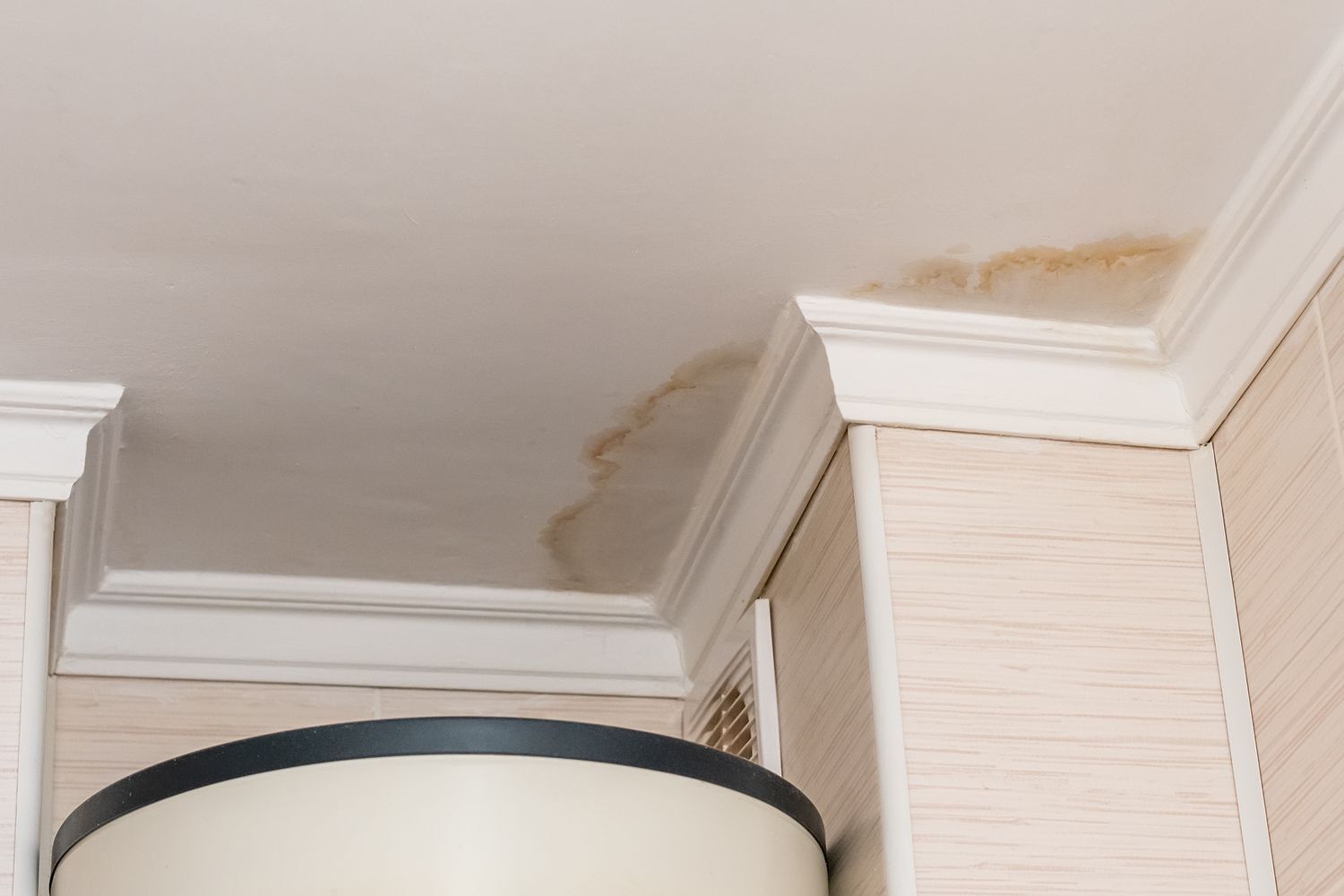 Ceiling-water-stain