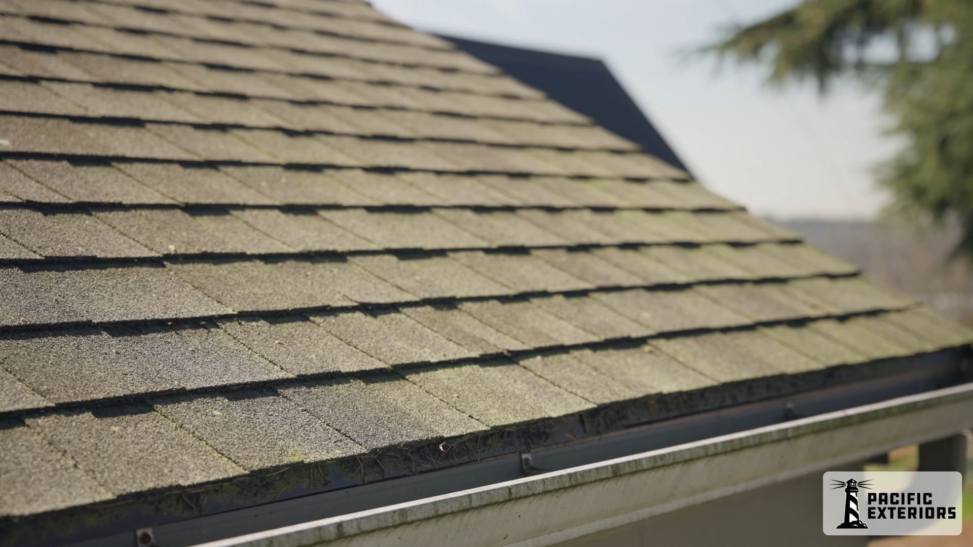 Mildew-on-roof