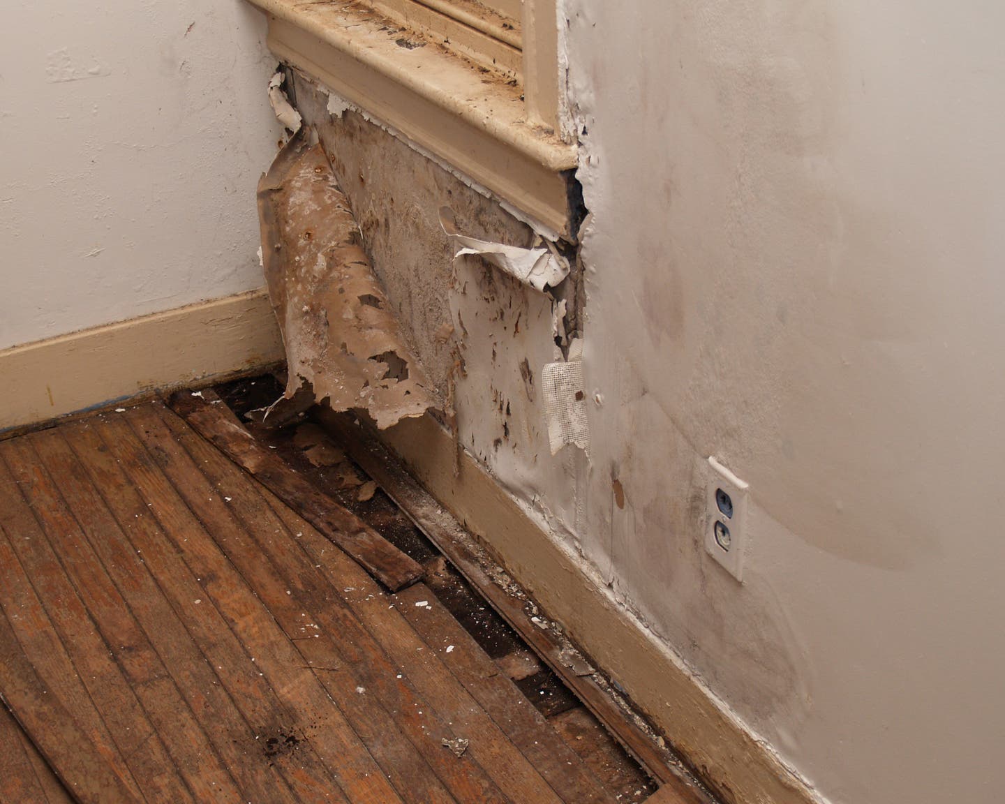 Interior-water-damage-in-home