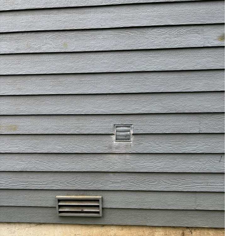 Mildew-on-siding-panels