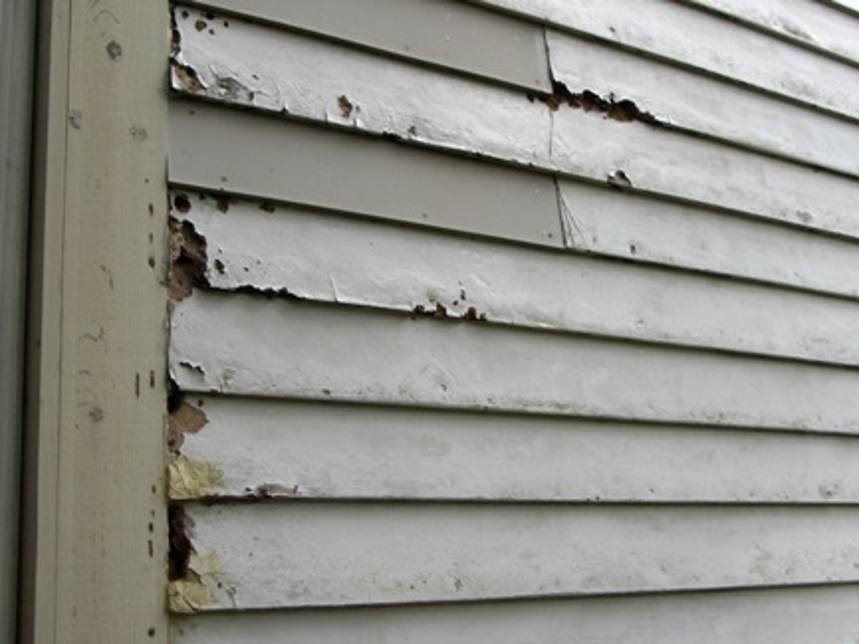 Damaged siding