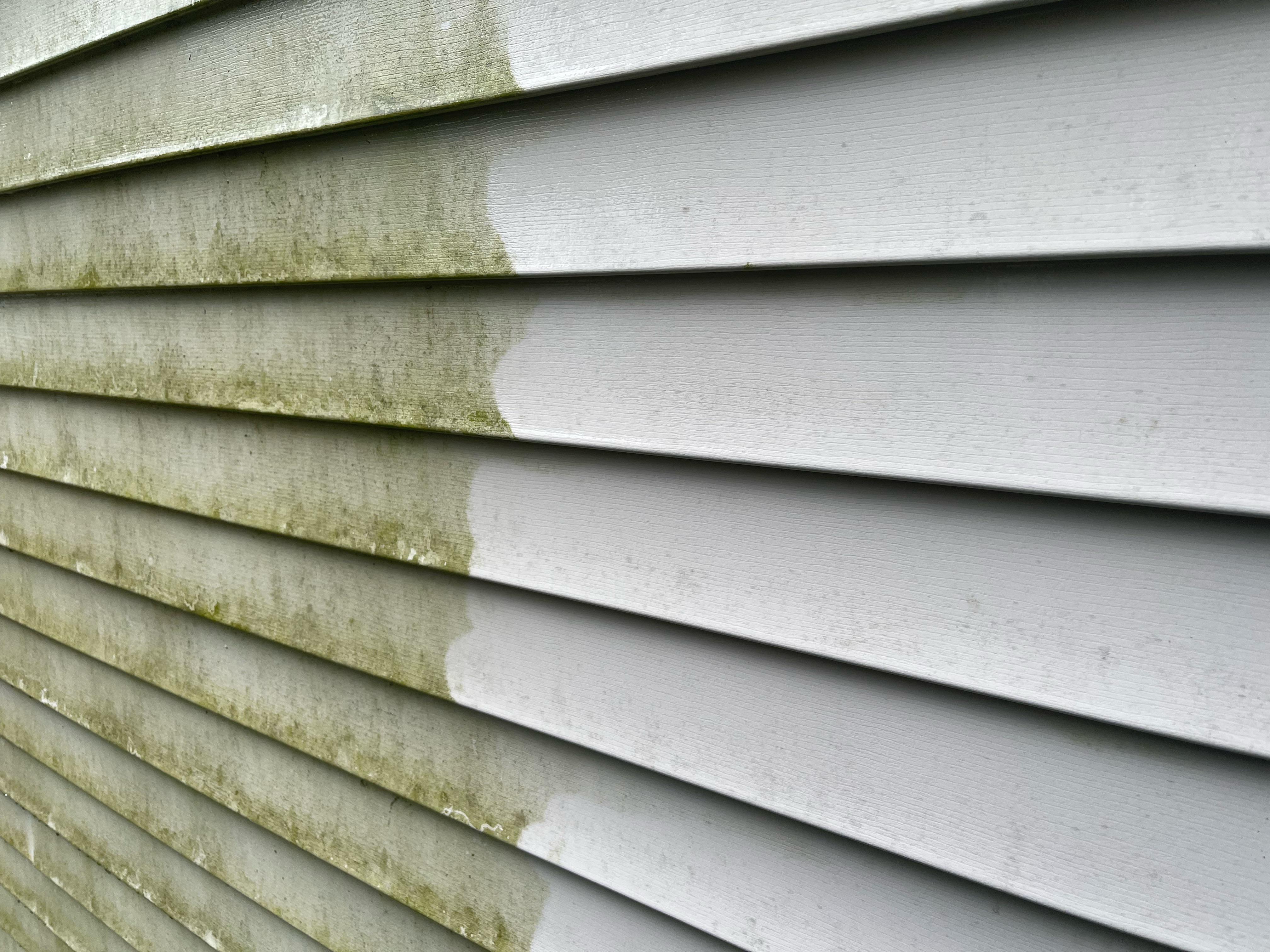 Mildew-on-siding