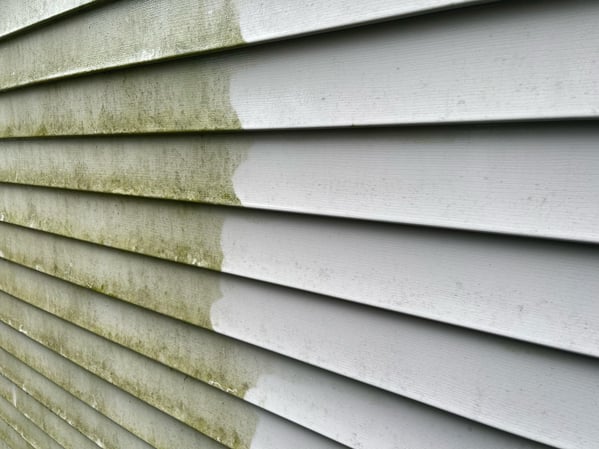 Mildew-on-siding