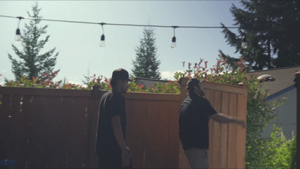 timeline expectations-1