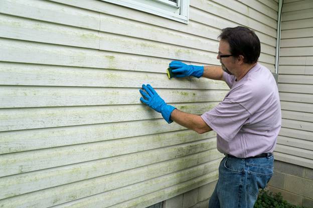 Cleaning-mildew-from-siding
