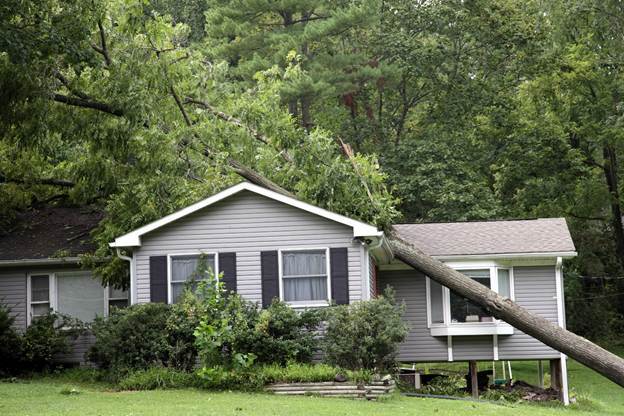 Fallen-tree-on-house
