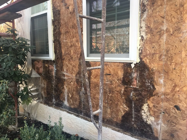 Sheathing-rot