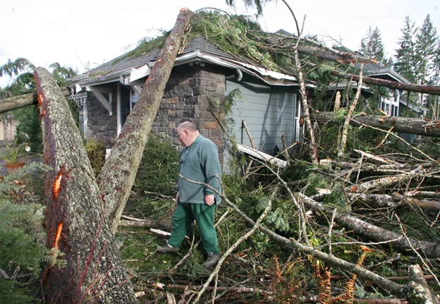 Seattle-windstorm-damage