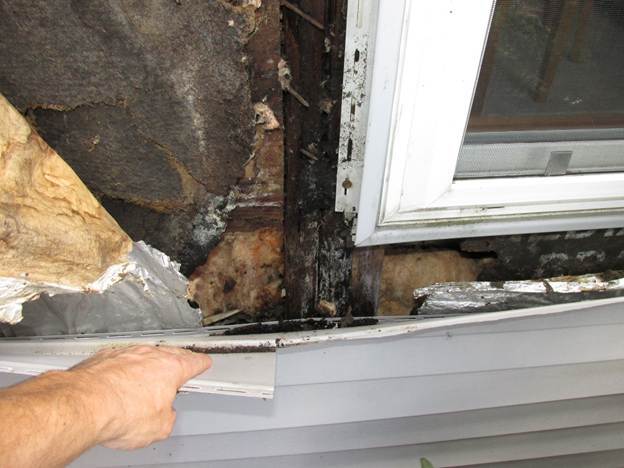 Rotted-sheathing-behind-siding