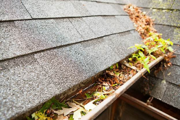 Clogged-gutters