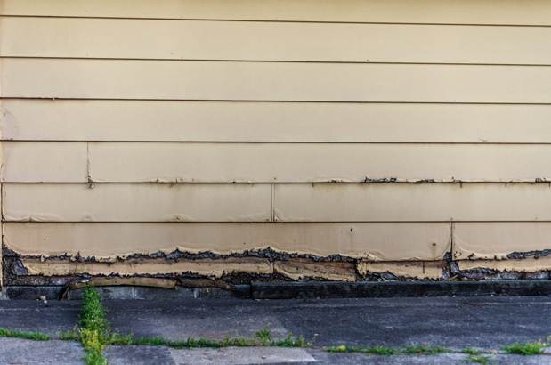 Moisture-damage-on-siding