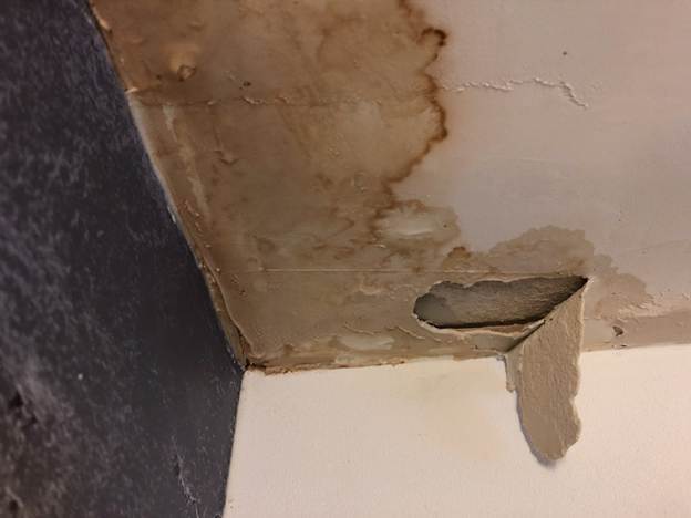 Ceiling-water-leak