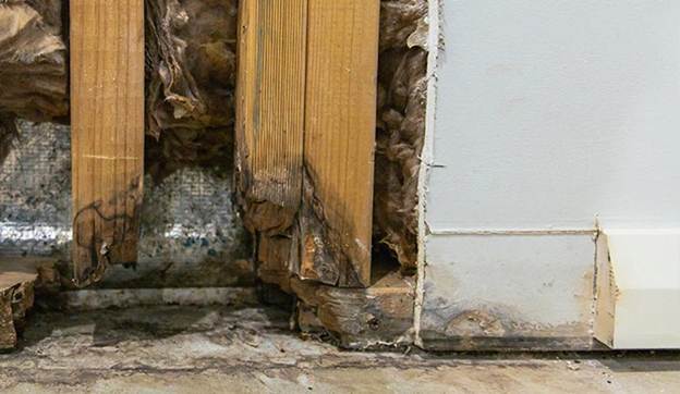 Structural-rot-inside-home