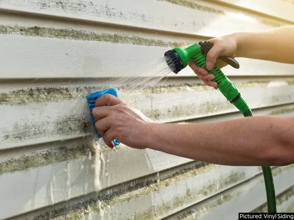 Cleaning-vinyl-siding