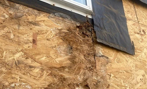 Sheathing-rot