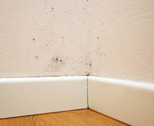 Mold-stains-on-interior-wall