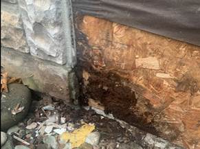 Sheathing-rot