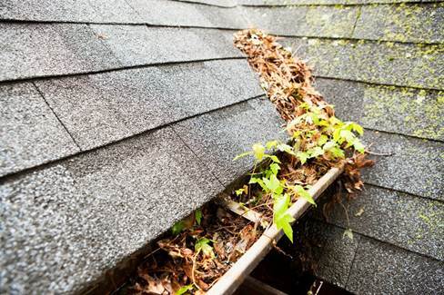 Clogged-gutters