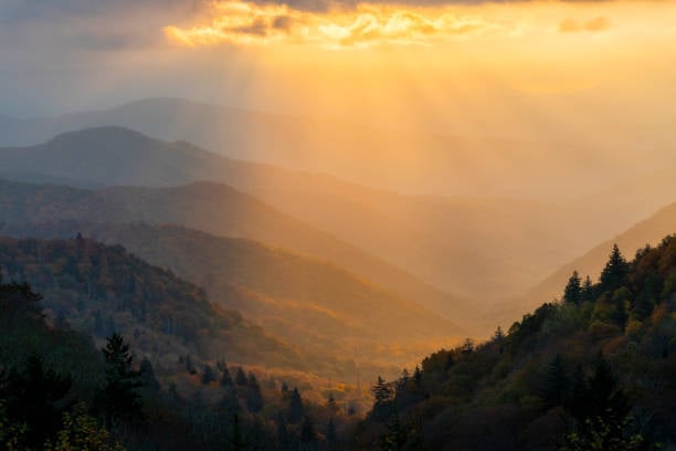 Tennessee-rolling-hills