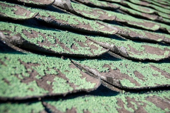 Roof Repair or Replacement—Which Is Right for Your Home?