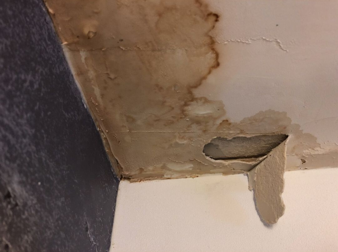 ‘Help, My Roof is Leaking!’ Here’s What to Do First 